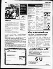 Síða 2