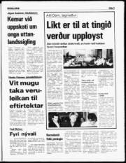 Síða 3