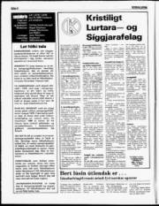 Síða 6