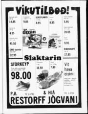Síða 13
