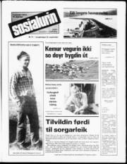 Síða 1