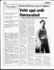 Síða 8