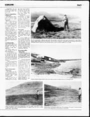 Síða 9