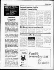Síða 6