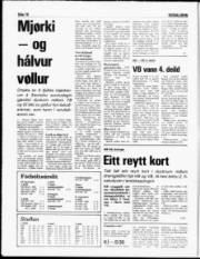 Síða 10