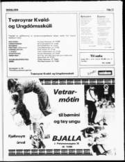 Síða 13