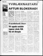 Síða 3