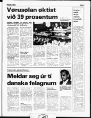 Síða 3