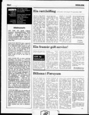 Síða 6