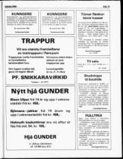 Síða 15