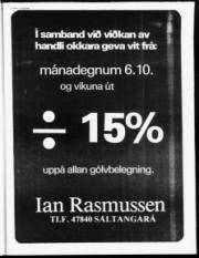 Síða 17