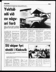 Síða 3
