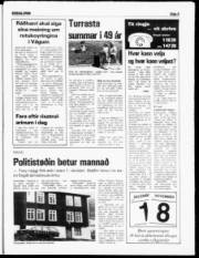 Síða 5