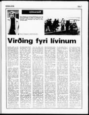 Síða 7