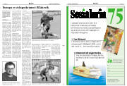 Síða 11