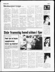 Síða 3