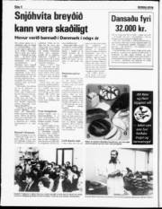 Síða 4