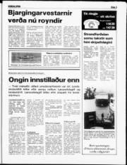 Síða 5