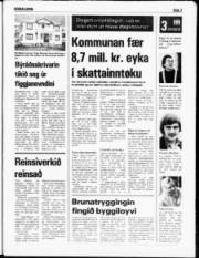 Síða 3