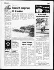 Síða 5