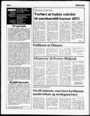 Síða 6