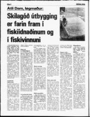 Síða 4