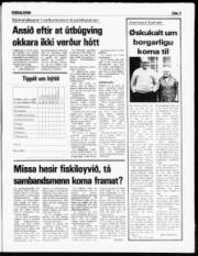Síða 3