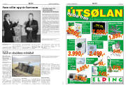 Síða 4