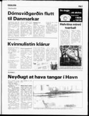 Síða 5