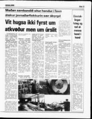 Síða 13