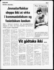 Síða 5
