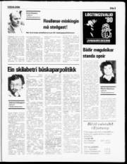 Síða 9