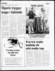 Síða 14