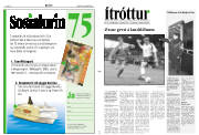 Síða 11