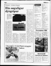 Síða 2