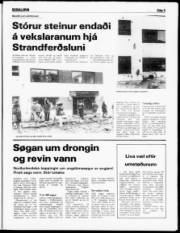Síða 5