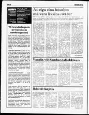 Síða 6