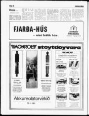 Síða 17