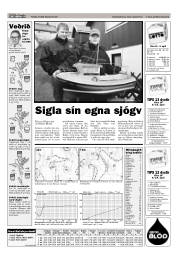 Síða 19