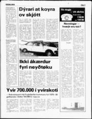 Síða 3