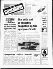 Síða 1