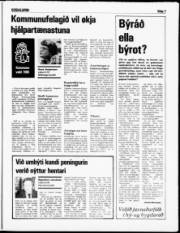 Síða 7