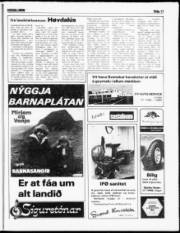 Síða 11