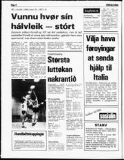 Síða 2