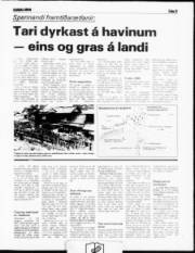 Síða 9