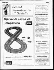 Síða 13