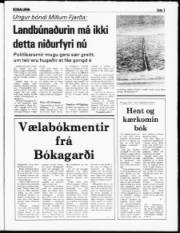 Síða 3