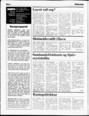 Síða 6