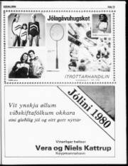 Síða 15
