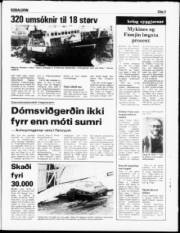Síða 5